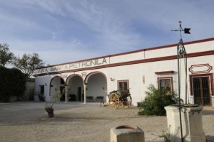 Bodegas Viña Santa Petronila